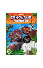 Dinosaur Colouring set