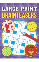 Large Print Brainteasers Puzzles