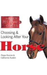 Choosing and looking after your horse