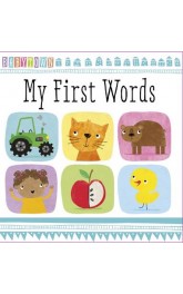 Early Learning First Words 24 board books box 