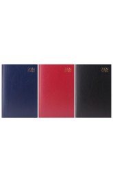 A5 2024 Diary Page A Day