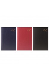 2024 Diary A4  Day to View 