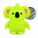 Koala Flashing with Light