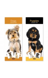 2026 Calendar Cute Animals ,24 in display box ,